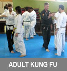 Adult Kung Fu